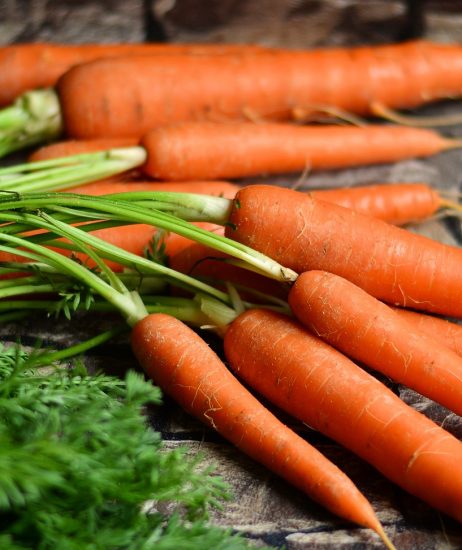 DE VRAAG VAN…: Zijn de worteltjes nu voor de hertjes van de Kerstman?